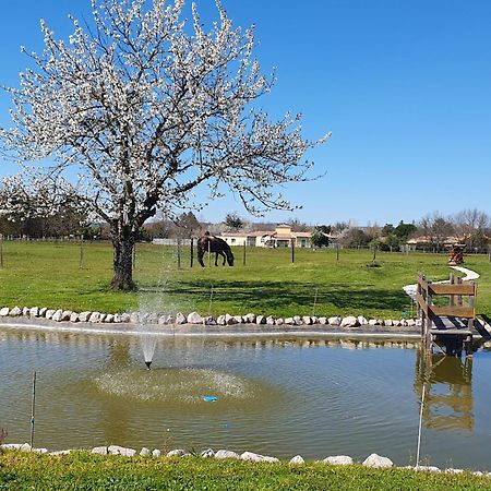 Bed and Breakfast Domaine Christanna Lisle-sur-Tarn Esterno foto