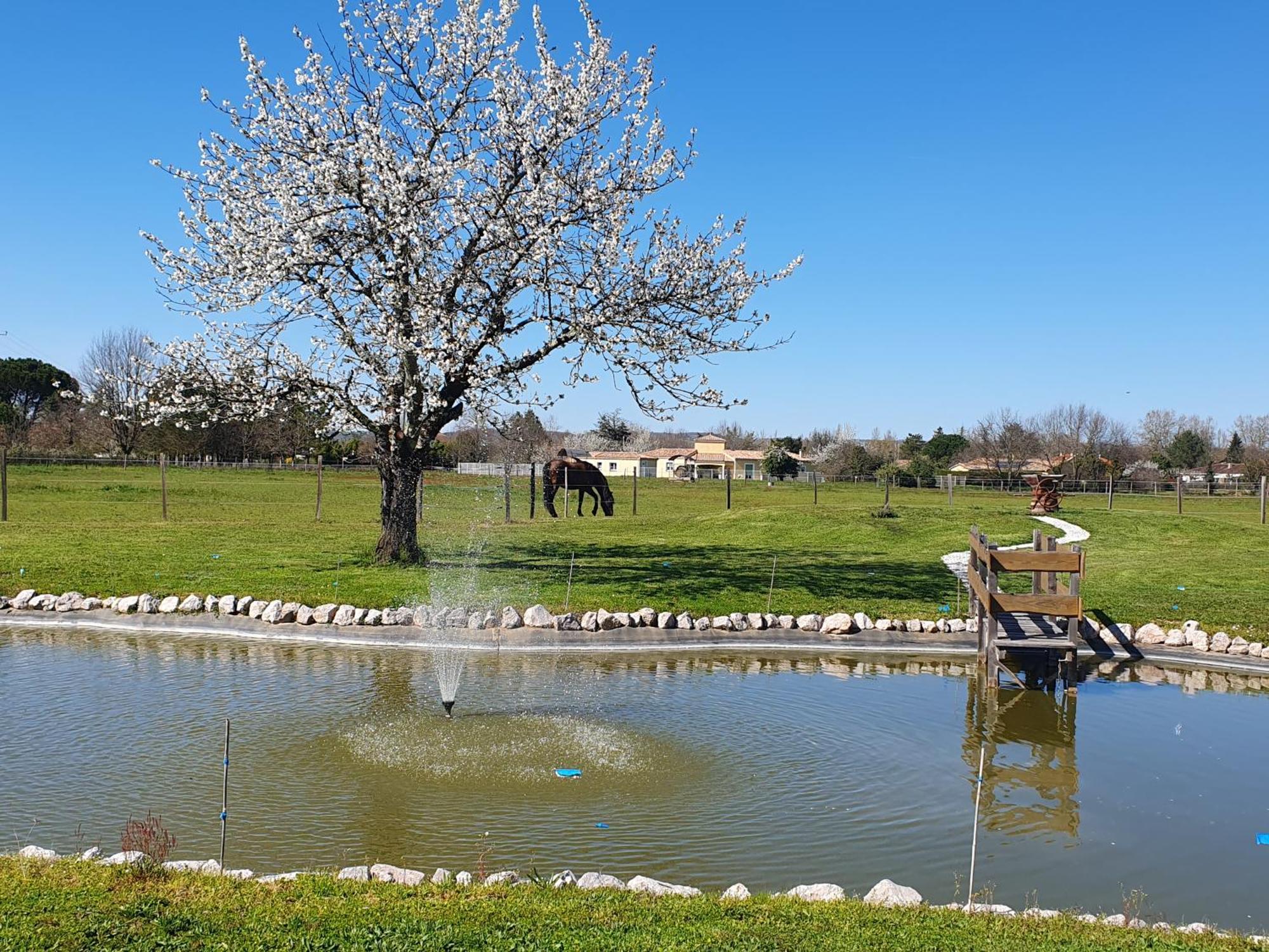 Bed and Breakfast Domaine Christanna Lisle-sur-Tarn Esterno foto